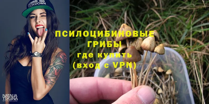 Псилоцибиновые грибы Psilocybine cubensis  Агидель 